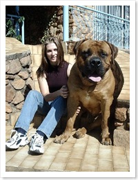DogForSale