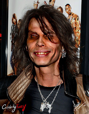 steven tyler fall