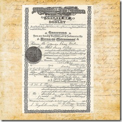 marriagelicense