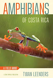 Amphibians of Costa Rica: A Field Guide (Zona Tropical Publications)