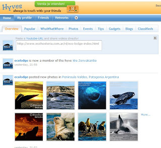 Follow the adventure in Valdes Peninsula, Whale Watching, Orcas Season,Elephant Seals, Penguin in your Social Network