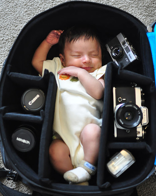 Fotógrafos registram lindas fotos de seus filhos dentro de sua bolsa de equipamentos