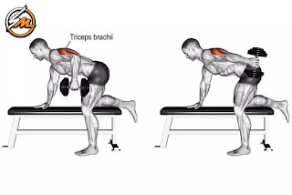 Bicep and Tricep Superset Workout for Mass