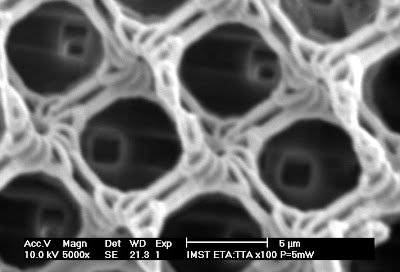  Pada Konferensi Photonics West yang diadakan pada  Pintar Pelajaran Printer ini Mampu Mencetak Obyek 3D Berstruktur Mikro dan Nano