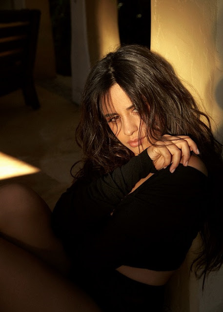 Camila Cabello, “Familia”, ya está disponible