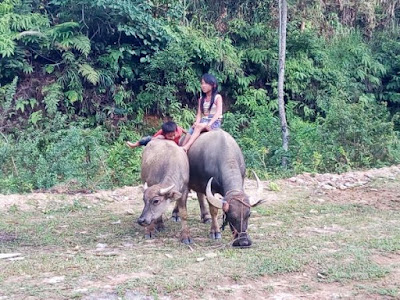 Bac Ha, Lao Cai, Vietnam