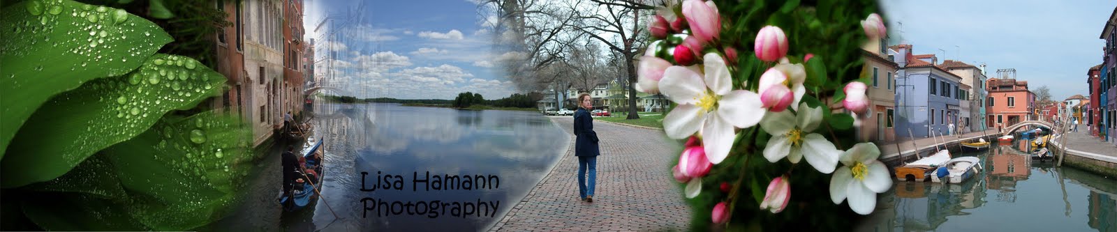 Lisa's Digital Photo
