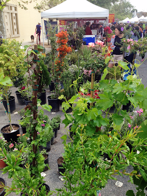 market flowers plants