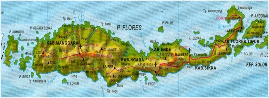 WISATA FLORES : SSEJARAH PULAU FLORES