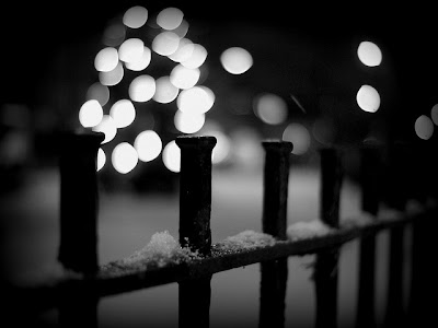 Snow Photography