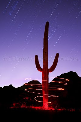 Saguaro Spiral (c) John Ashley