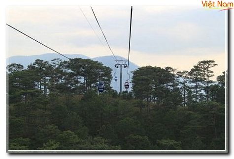 tn_dalat13