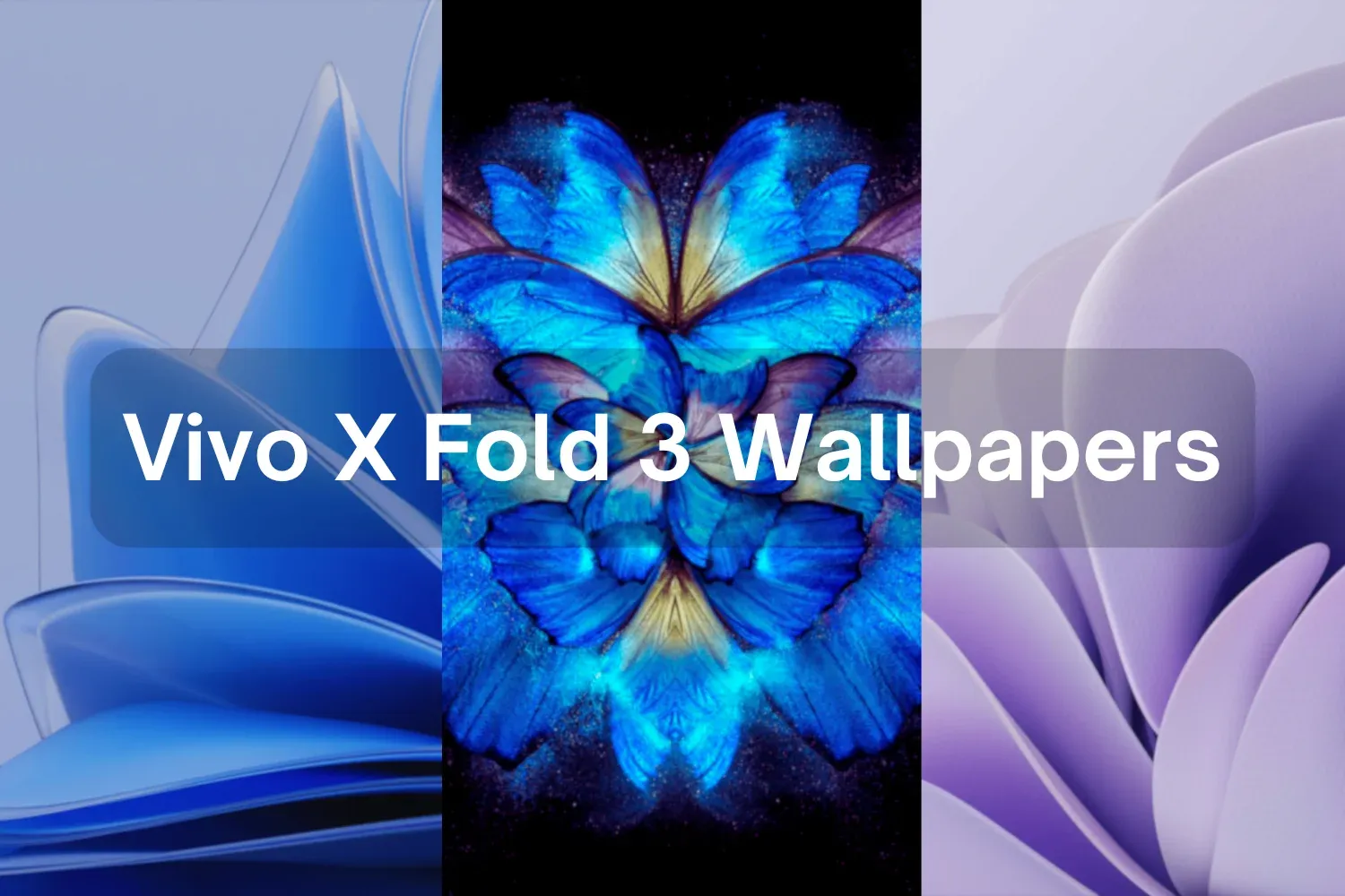 Download Vivo X Fold 3 Stock Wallpapers in FHD+