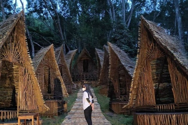 glamping di hutan pinus mangunan