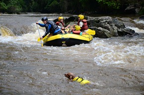 Pets Adventure 9 (202)