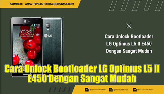 Cara Unlock Bootloader LG Optimus L5 II E450 Dengan Sangat Mudah