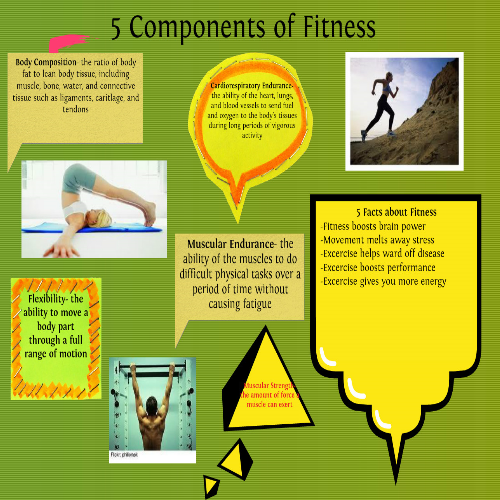 1supertophealthandfitness 5 Health Related Components Of Fitness All About It