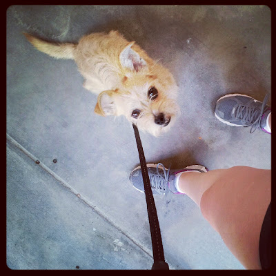 Favorite Running Partner Sallie