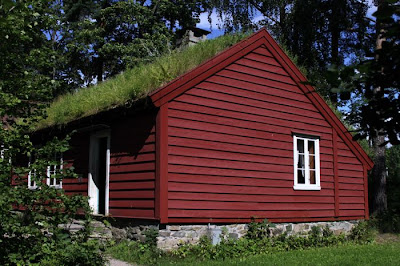 Roofs in Norway Seen On lolpicturegallery.blogspot.com