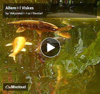 https://www.mixcloud.com/straatsalaat/alleml-viskes/