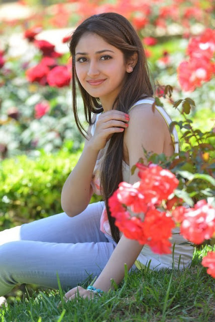 Sayyeesha Saighal: New Stills Showcase Her Irresistible Cuteness!