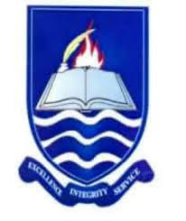 IAUE Graduate School of Business and Maritime Studies Admission  Form