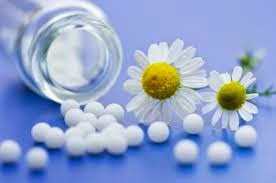 Homeopathy online courses