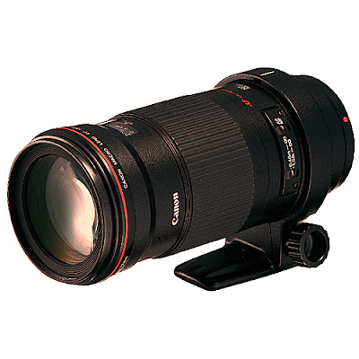 Canon 180 mm macro lens
