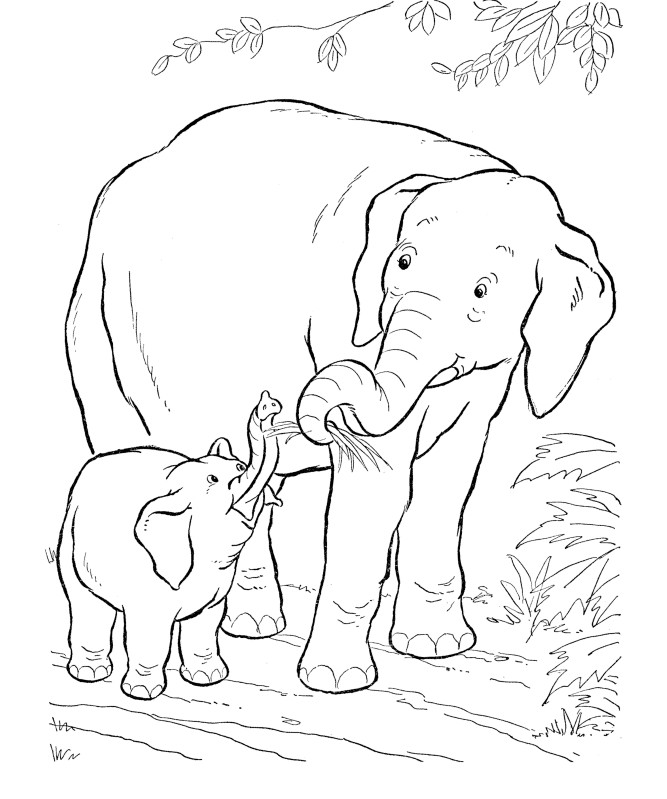 Sebagai materi untuk gambar mewarnai anak Sketsa Gambar Hewan Gajah Terbaru