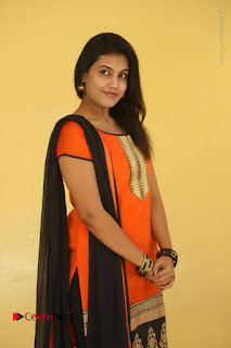 Telugu Actress Chandana Stills in Salwar Kameez at Karam Dosa Movie Press Meet  0011.JPG