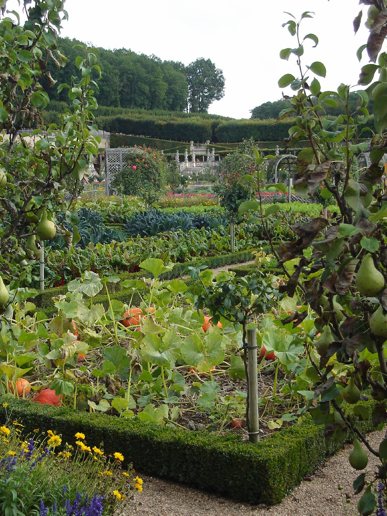 Ewa in the Garden: 24 Beautiful Photos of Edible Landscape ...