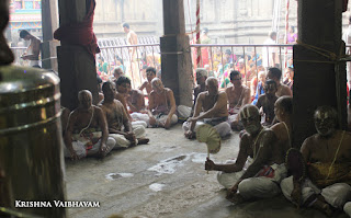 Sri TheliyaSingar , Sri Gajendra Varadhar, Samrokshanam, 2016, Video, Divya Prabhandam,Sri Parthasarathy Perumal, Triplicane,Thiruvallikeni,Utsavam,