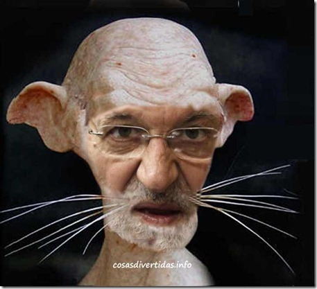 rata inmunda rajoy 1