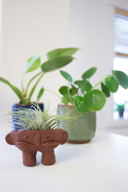 how to make cute DIY Air Plant Troll Pots