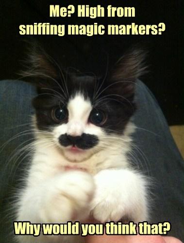 Kitty - High From Sniffing Magic Markers