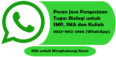 Jasa Pengerjaan Tugas Biologi Untuk SMP, SMA, dan Kuliah Murah