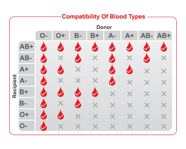 tabla compatibilidad de tipos de sangre curiosciencia