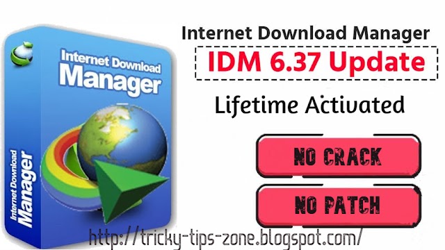 Download internet download manager 6.36 lifetime Activated