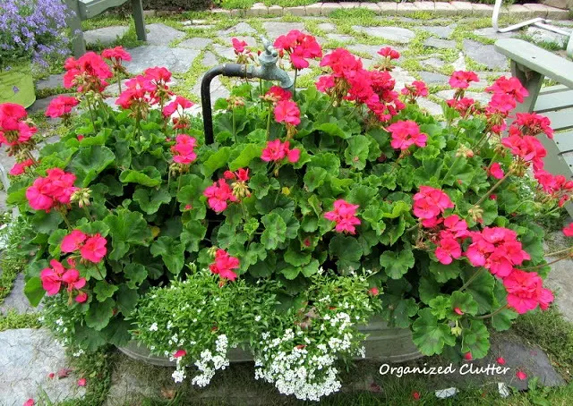 Galvanized Laundry Tub Planter Ideas #containergarden #annuals #junkgarden #gardenjunk