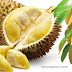 VIDEO: Identifikasi Buah Durian Sitokong