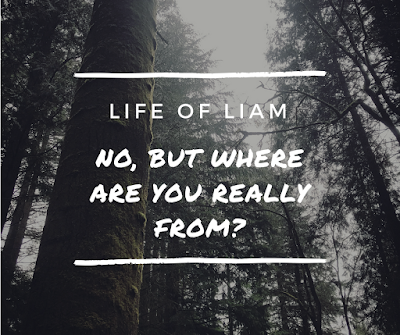 Image of trees in background with "Life of Liam - No, but where are you really from?" on top