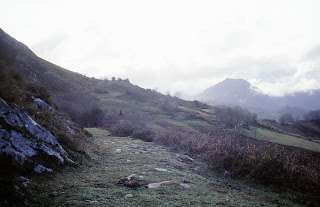 Empedrado del camino