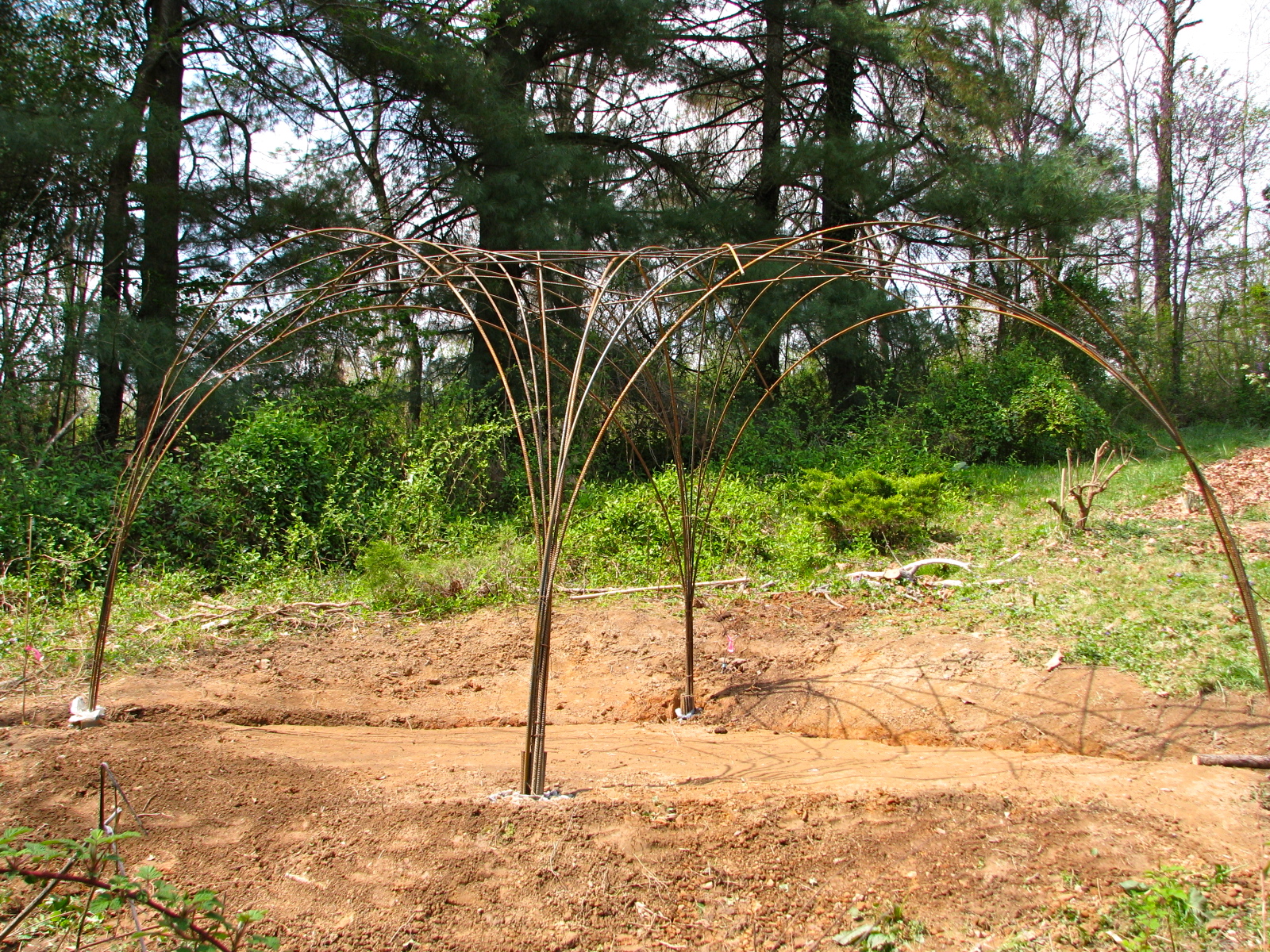 Gardening on the Edge: The Rebar Grape Arbor