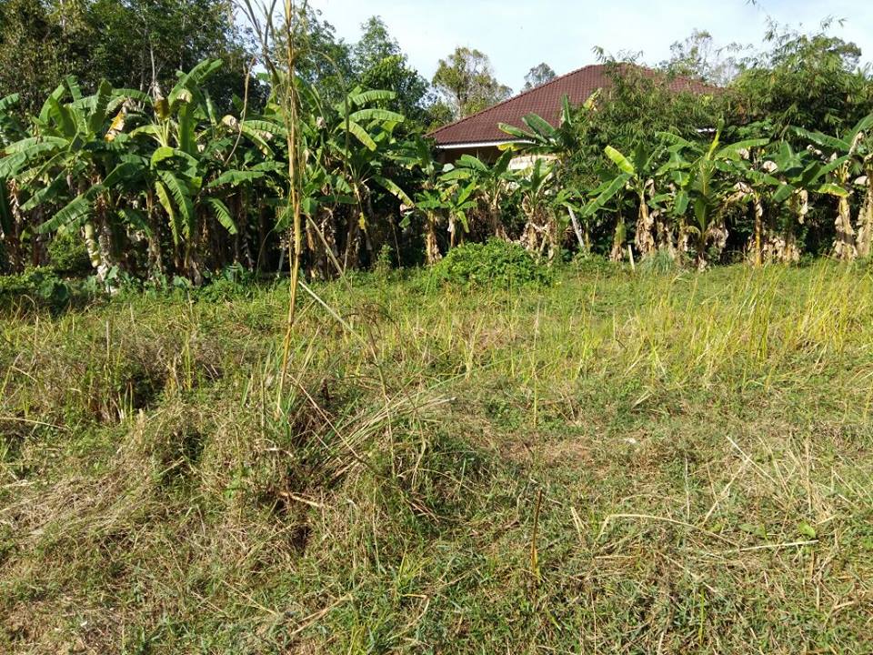 Ejen Hartanah Bumiputra ~ Rumah Untuk Dijual: Tanah Lot ...