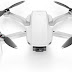 DJI Mavic Mini - Drone FlyCam Quadcopter UAV with 2.7K Camera 3-Axis Gimbal GPS 30min Flight Time, less than 0.55lbs, Gray