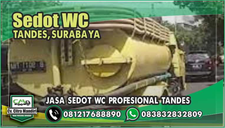 Gambar 001 Sedot WC Tandes Surabaya (Jasa Penulisan Artikel)