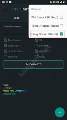 hidupkan proxy socket (server)