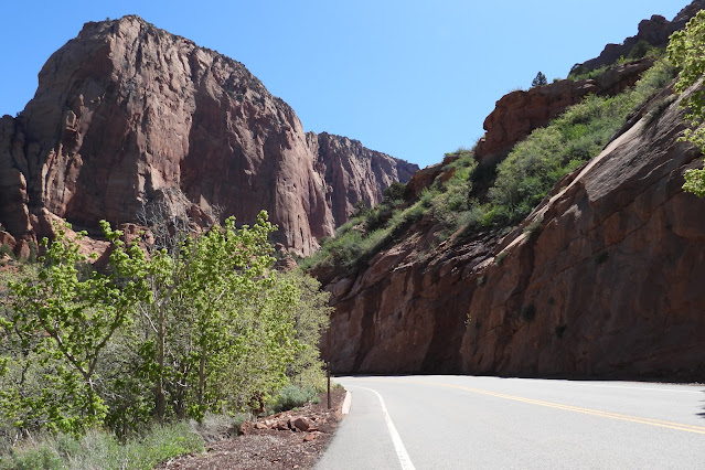 Zion National Park