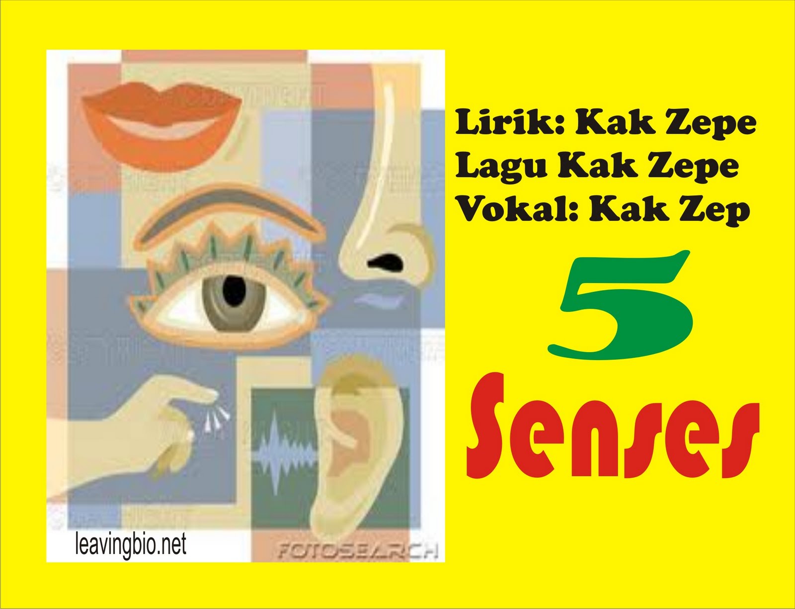 Senses Kak Zepe s Children Song Educational Songs For Kids and Nursery Kindergarten Songs Teaching English for Primary