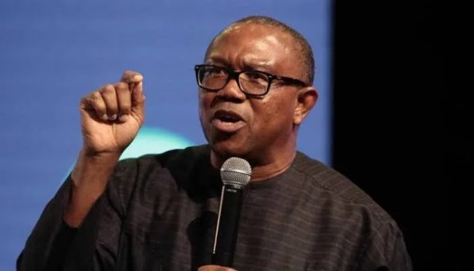 Elections: Big Brother Naija Titan is a distraction, shun the show – Obi’s Labour Party cautions youths